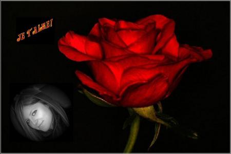 Pour mon amour